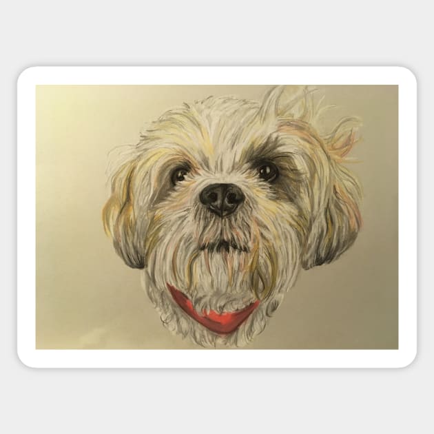 Lhasa Apso Sticker by Merlinsmates